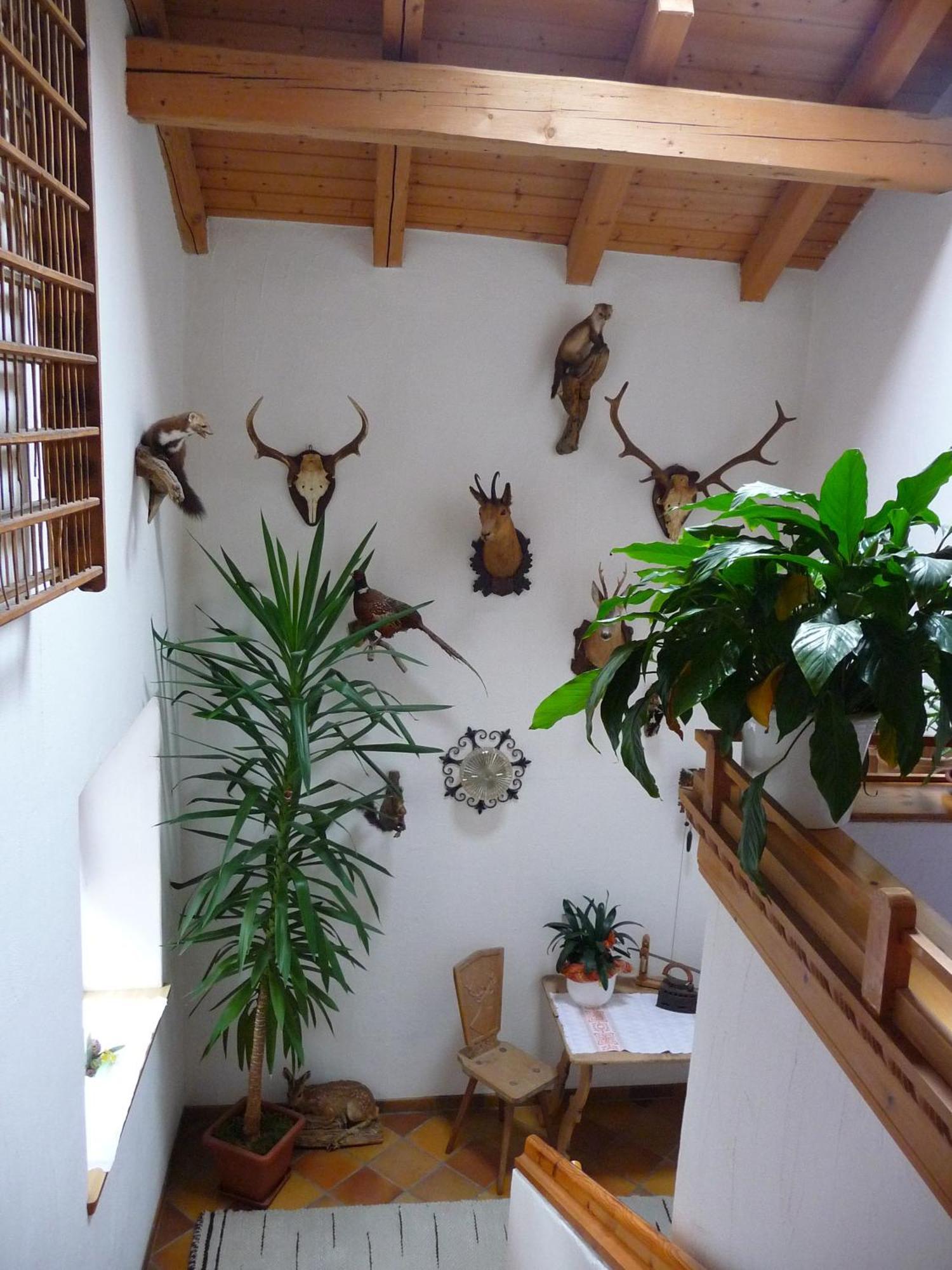 Gasthof Gemse Planol Exterior foto